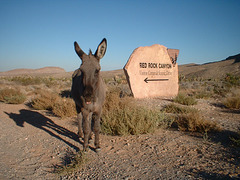 valley of fire 24