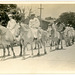 Circus Horses on Parade