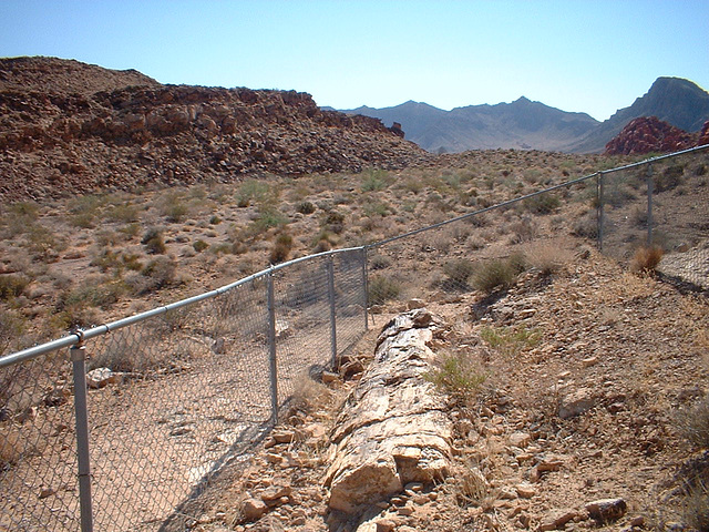 valley of fire 36