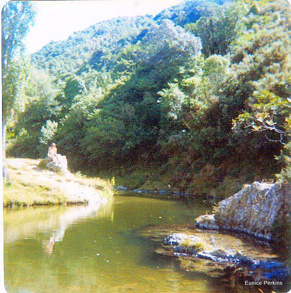 At the poplars swimming hole