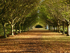 Anglesey Abbey