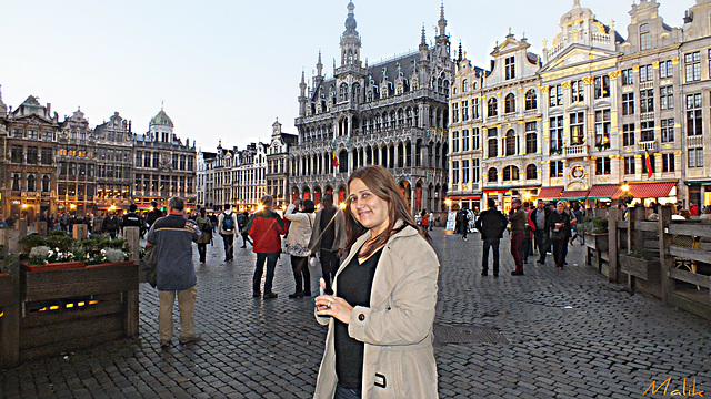 Bruxelles..La grande place.