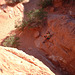 valley of fire 57