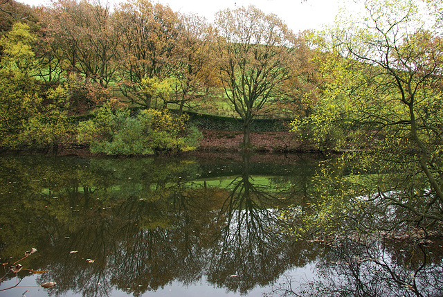 Cote lodge reflection