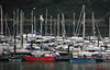BIRDS AND MASTS