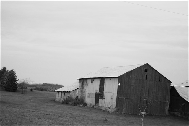 Barn Snap