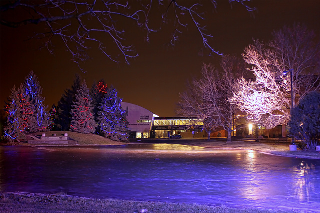 SCC skating pond at night