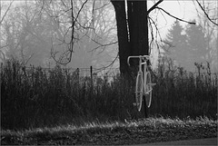 The Ghost Bike Commemorating Curt Dombecky, 4/23/1948-7/14/2012