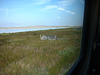 Drawbridge (12)