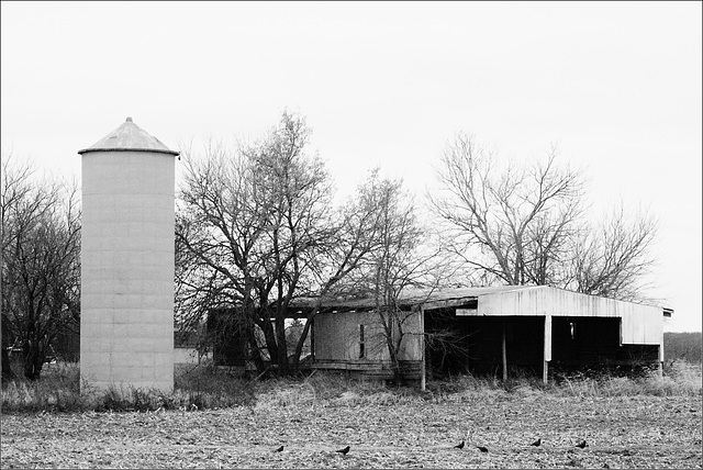 The Old Metal Barn