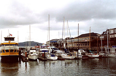 Pier 39 Boats