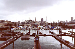 San Francisco Harbour