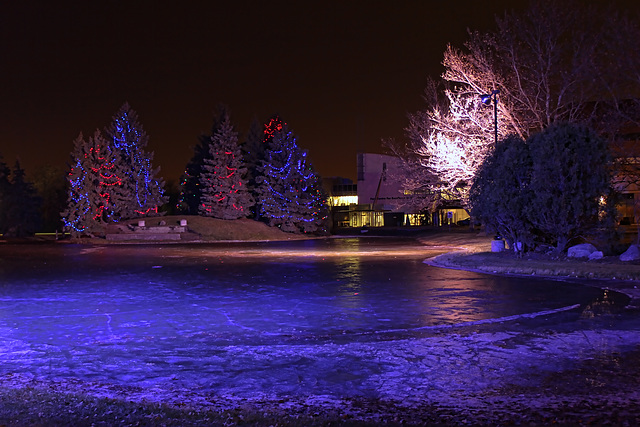 SCC skating pond at night3