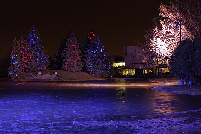 SCC skating pond at night4