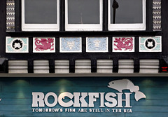 ROCKFISH