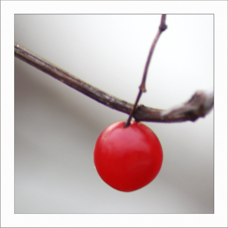 ROT  und  RUND