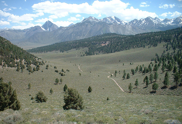 Inyo Mtns 22