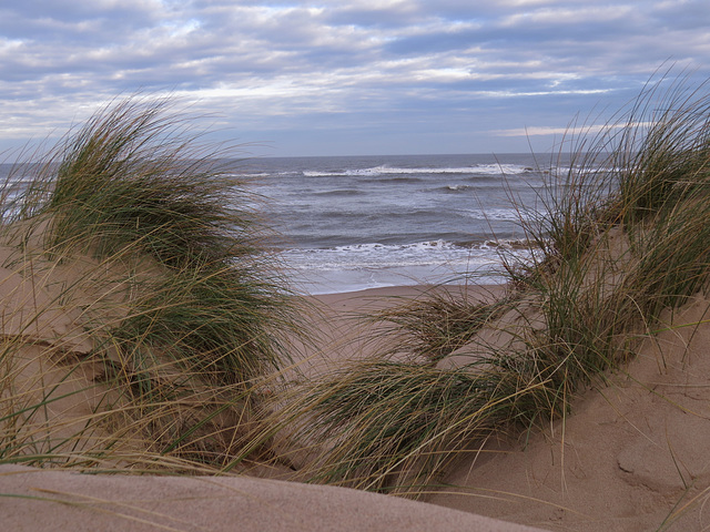 burnham marshes, norfolk coast