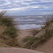 burnham marshes, norfolk coast