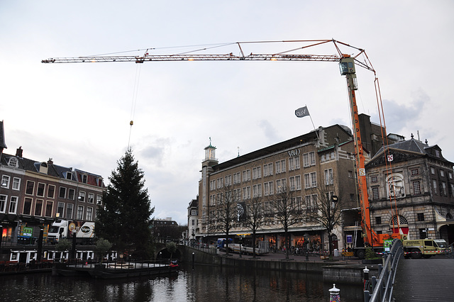 Christmas tree in Leiden