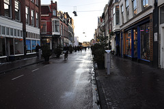 Steenstraat in Leiden with Christmas trees