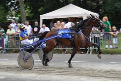 Short-track harness racing – At speed