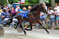 Short-track harness racing – Casual