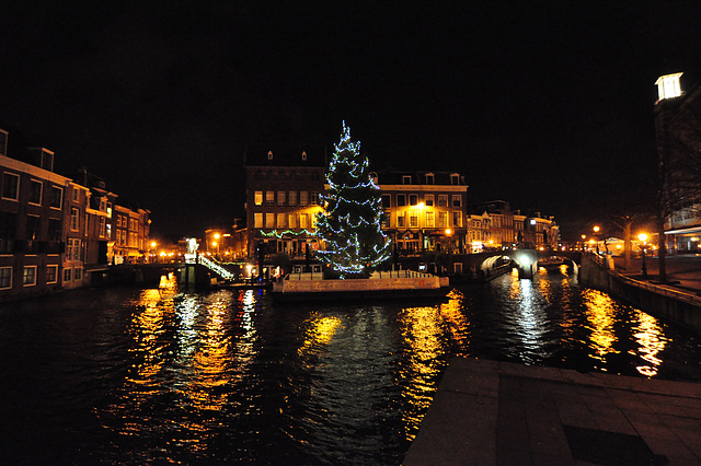 Christmas tree on the spot where Old Rhine and New Rhine meet