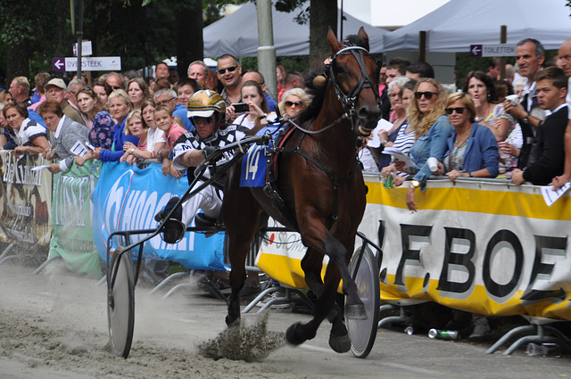 Short-track harness racing