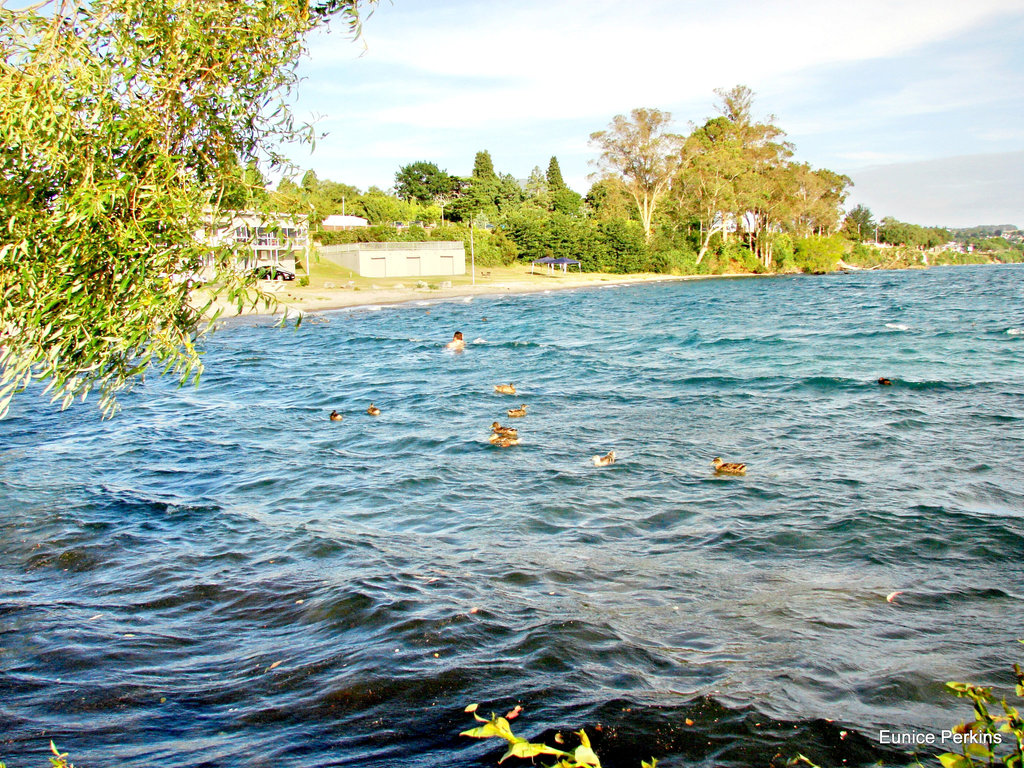 Lake Taupo