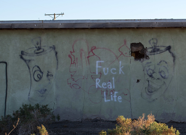 Salton Sea Beach (0771)