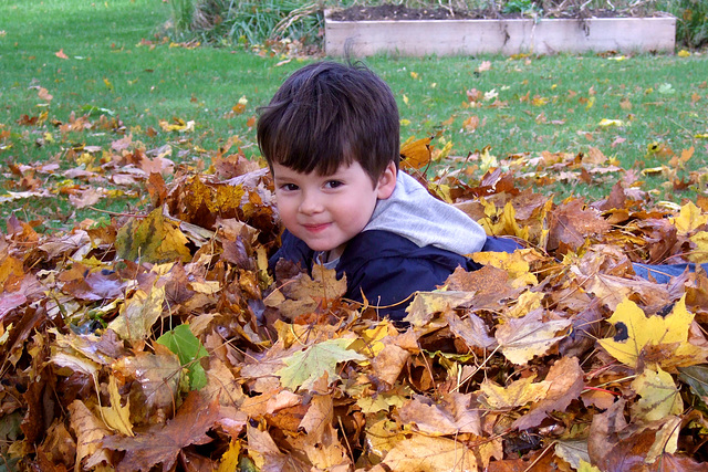 Little Leaf Boy