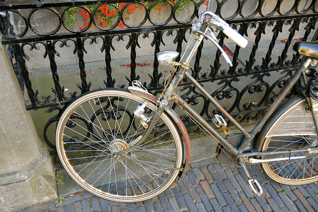 Gazelle bike