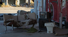 Salton Sea Beach (0767)