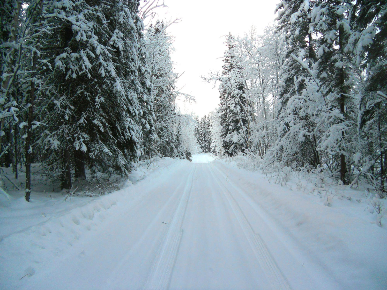 The end of the road