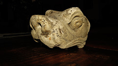 gargoyle