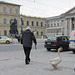 München, Max-Joseph-Platz