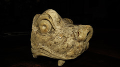 gargoyle