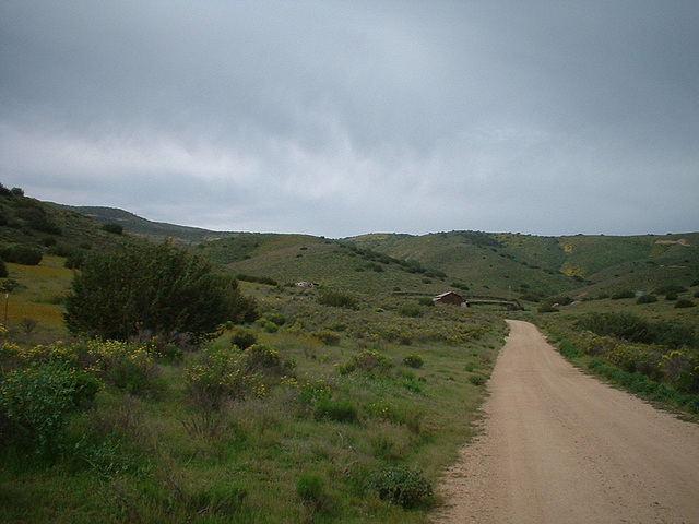 death valley 3 - 05