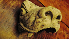 gargoyle