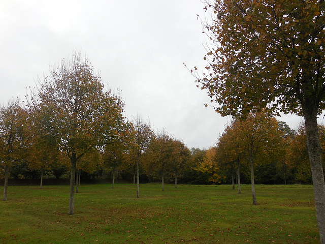 c'est l'automne qui arrive