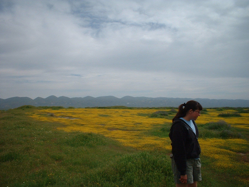 death valley 3 - 12