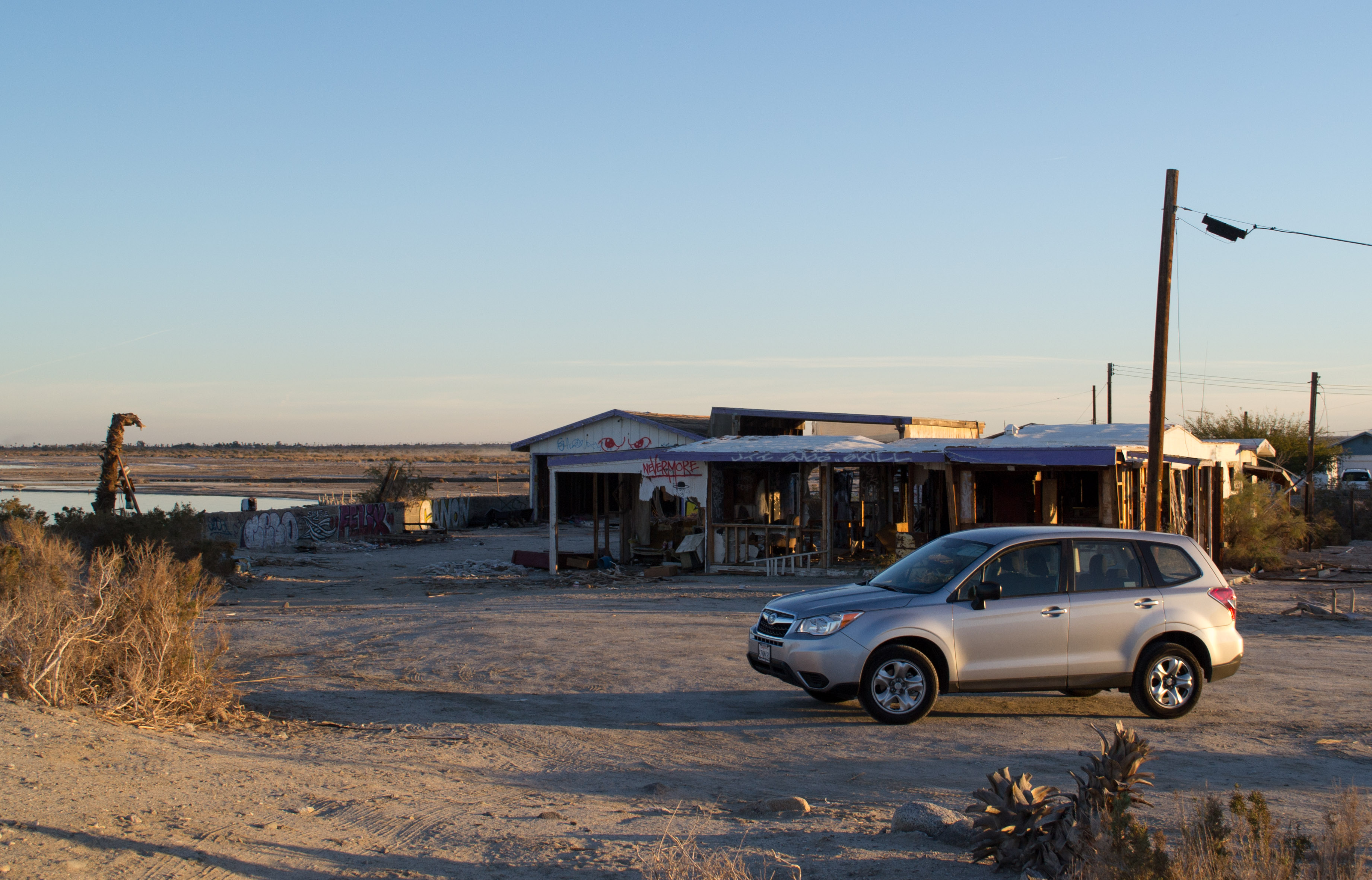 Salton Sea Beach (0790)