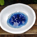 blue on white bowl (with paws)