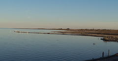 Salton Sea Beach (0784)
