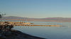 Salton Sea Beach (0785)