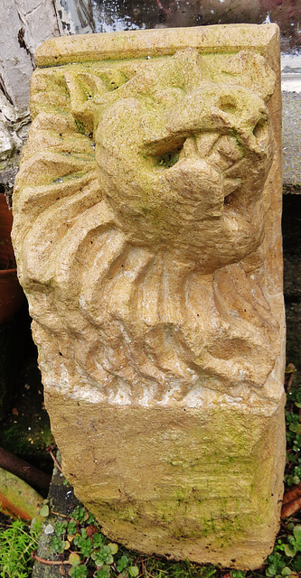 c15 lion corbel