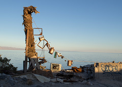 Salton Sea Beach (0778)