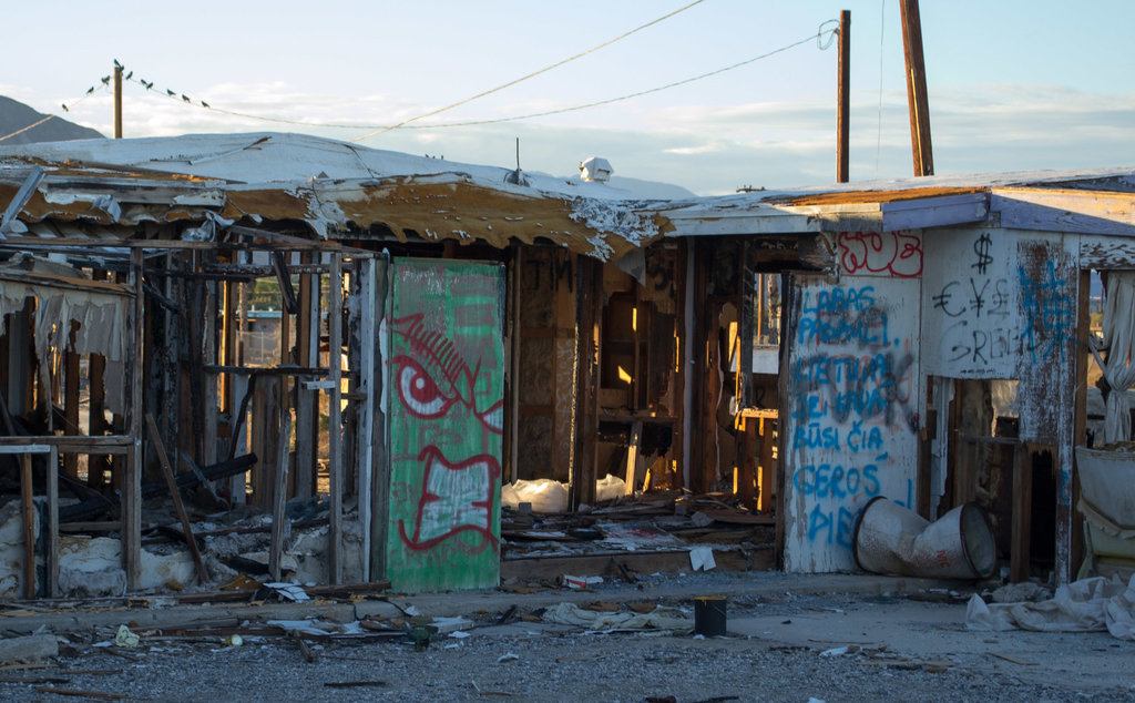 Salton Sea Beach (0786)