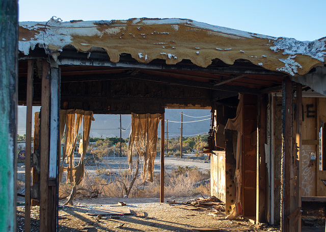 Salton Sea Beach (0781)